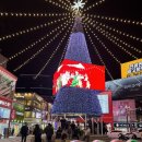 다사 다이소 앞 | 다사다난했던, 2025년 12월 일상 마무리