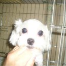 남강약국 이미지