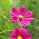 김해분청도자기 축제 이미지