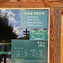 11월 죽녹원 소요시간 / 죽녹원카페 추월당 / 공예품 기념품 후기