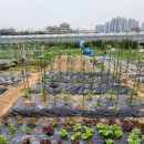 승준농장(2) 이미지