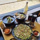 펩시와 소송에서 이긴 토종 국내 브랜드 펩스데이 제로콜라 솔직 후기