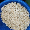 호남청과 이미지