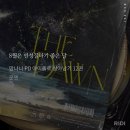 청년피자 속초점 | 엄마, 내가 인어를 봤다니까? | 8월 일상