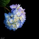 남구-006 이미지