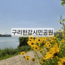 한강시민공원 편의점 쉼터 옆 | 가볼만한곳 - 아이와 주말 나들이로 완벽했던 구리한강시민공원, 평지 산책길 텐트 피크닉 주차 팁까지