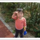 솔밭왓앤와이유치원 Daum카페