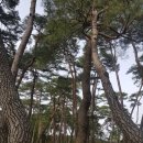 영주 숙수사지 당간지주 이미지