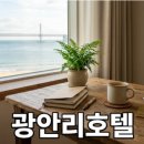 환희영상기획 | 니시지래적환희 향후 흥행 전망과 주행 체크포인트