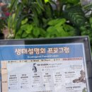 효정공원 | 핫한 가평에서의 1박 2일, 헤븐지버거&amp;베고니아새정원&amp;신비동물원 다녀온 후기 (자라섬도 갔어요!)