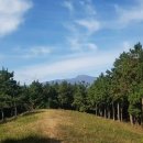 행복한흑염소농장 이미지