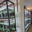 아쿠아수족관 이미지