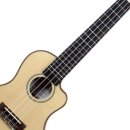 행복한 우쿨렐레 이미지