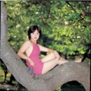 이미영 카카오 검색결과