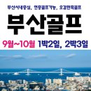 와이투어앤골프