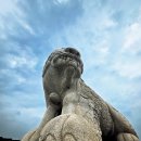 아티클 광화문