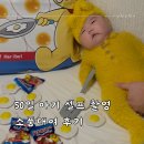 50일 아기 셀프 촬영 베니비디비치 소품대여 내돈내산 대만족 후기
