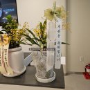 리베리의원 화성병점 이미지