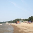 하와이언캠프