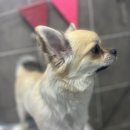 토곡동물병원 이미지