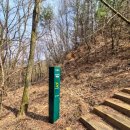 장수-4 | [트런 일기 EP 66.] 2026 장수트레일레이스 4K-vertical 맛보기 (대회 후기)