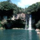 천지연무태장어천지연 이미지