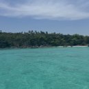 라차비치 이미지