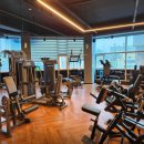 몸애반하다 이미지