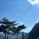 카페 피오르 이미지