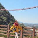 용궐산 화장실 이미지