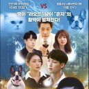 주식회사 펫생각 이미지