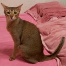 대학동-13 이미지