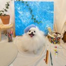 카페로운 이미지