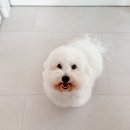 금배네 민박 이미지