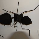 종이나라박물관 이미지