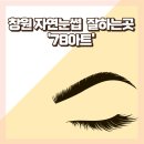 의안민원센터 | 창원 자연눈썹 잘하는 곳 헤어스트록 기법 '78아트'