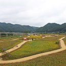 카페정원 이미지