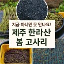 블로그제작&활용반 이미지