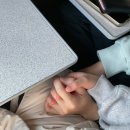 솜뭉치잡화점 | 2601