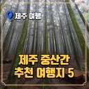 푸른보성영농조합법인 | 제주 중산간 여행 필수 코스! 절물자연휴양림부터 사려니숲길까지