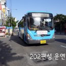 신성여객 이미지