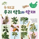☆╂…동의보감에 자주 쓰이는 한약재 42가지 이미지