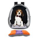 아이도그 이미지