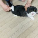 그루밍데이 이미지