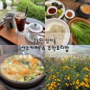 주막보리밥 | 2동탄 장지동 [주막보리밥 &amp; 선우카페] 나들이 다녀온 후기