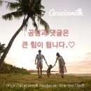 앙팡목장 이미지