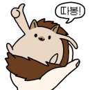 호텔컬리넌대치 이미지
