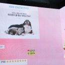 대한반려동물협회 이미지