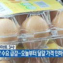 파동마트