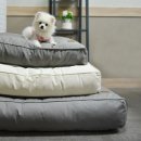 디엔씨펫 이미지